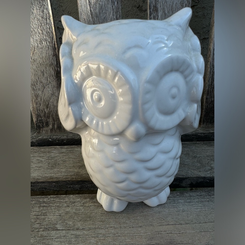 Owl hear no evil white ceramic vintage home decor 6.5”
